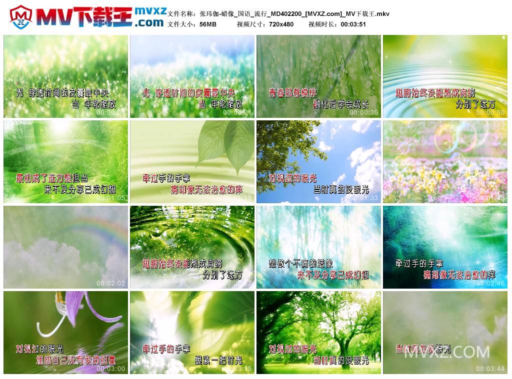张玮伽-蜡像_国语_流行_MD402200